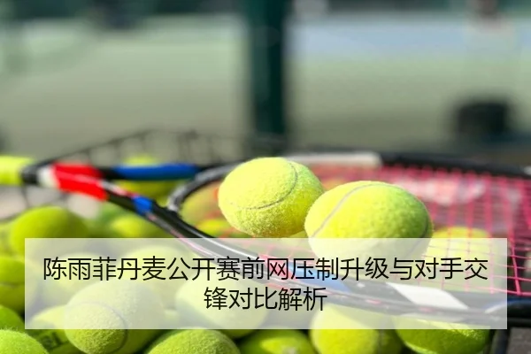 陈雨菲丹麦公开赛前网压制升级与对手交锋对比解析